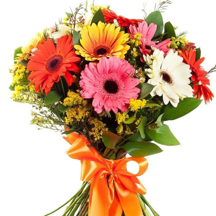 Яркий день от 5 380 руб.